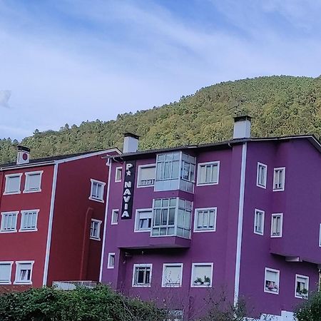Pension Navia A Pontenova Exteriör bild